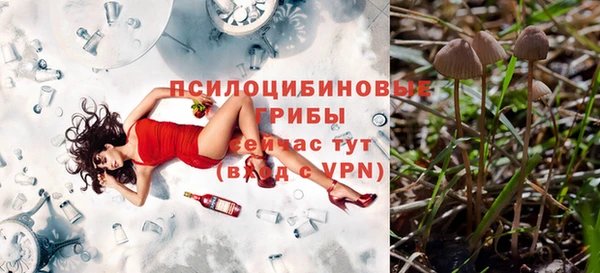 дурь Осташков