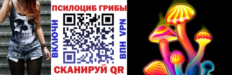 Псилоцибиновые грибы MAGIC MUSHROOMS  Шарья 